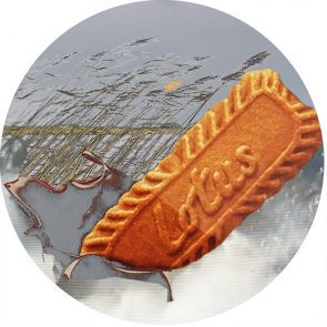 communicatie werk plannen en organiseren koekje valt in water voor rietkraag