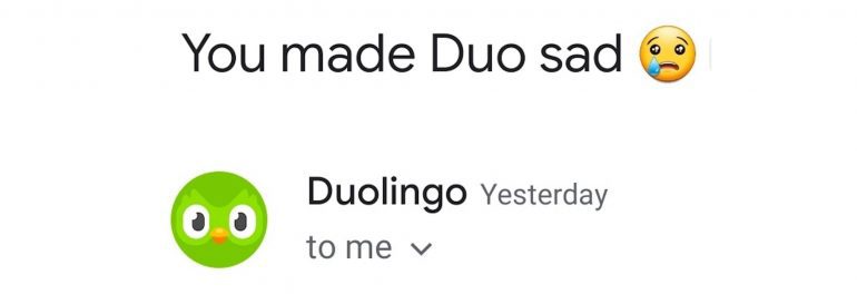 Header Duolingo met groene logo uitlje