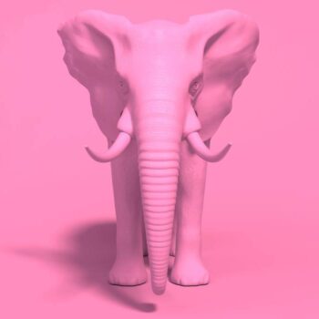 Denk niet aan een roze olifant! 10 marketingtips uit de gedragspsychologie