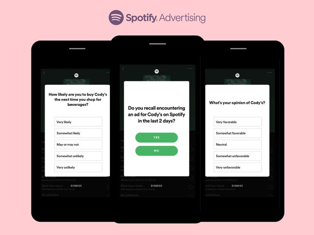Screenshot van de enquête voor Spotify Brand Lift.