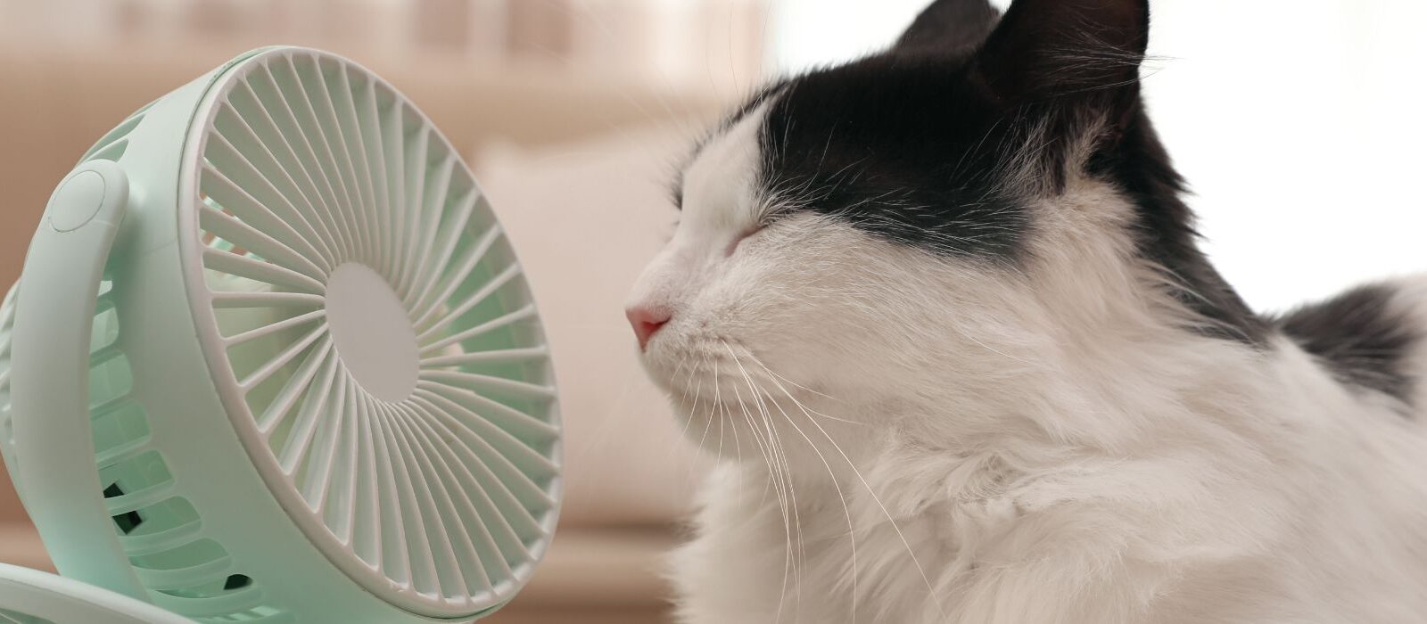 Een airco verkopen in de winter? Stimuleer spreiding met compelling events