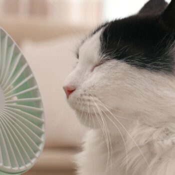 Een airco verkopen in de winter? Stimuleer spreiding met compelling events