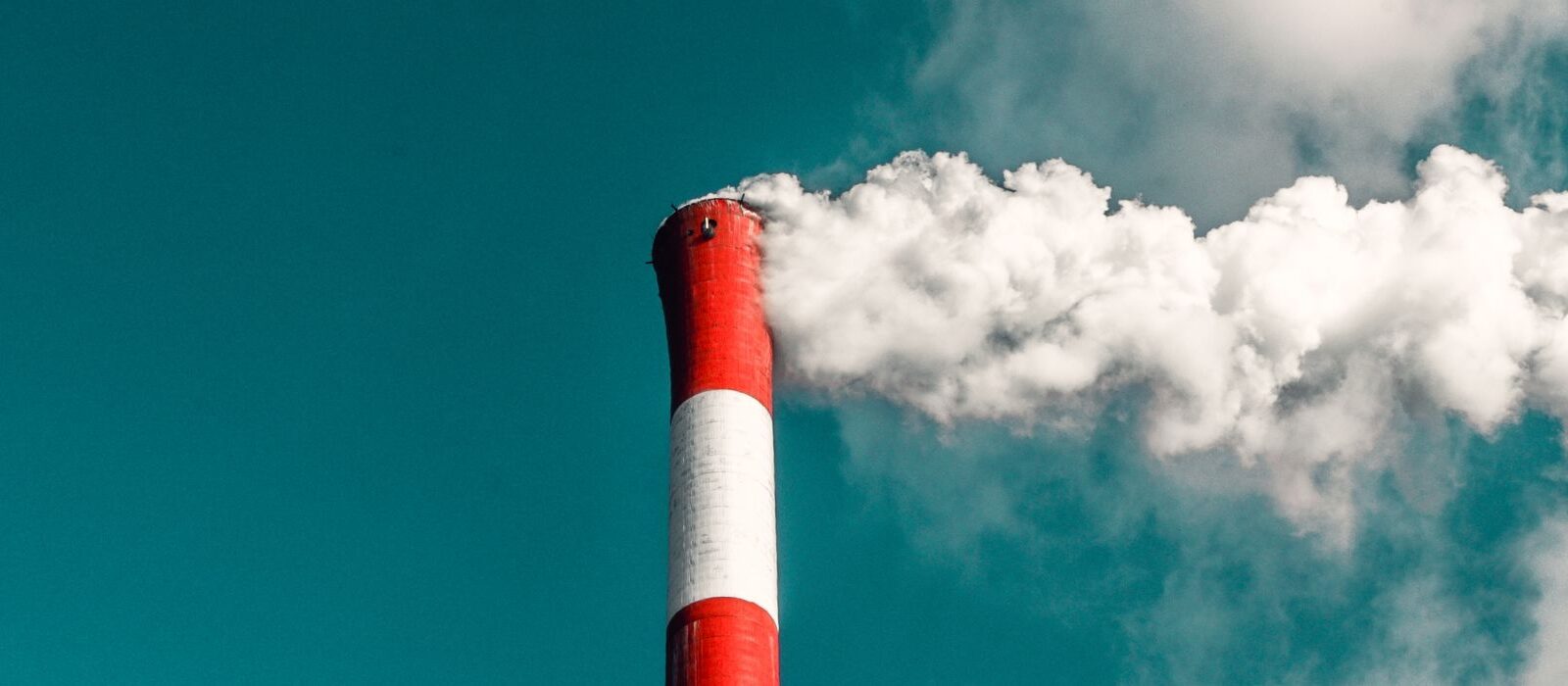 De hobbelige weg naar duurzaam ondernemen: do’s & dont’s uit de praktijk