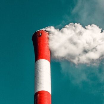 De hobbelige weg naar duurzaam ondernemen: do’s & dont’s uit de praktijk