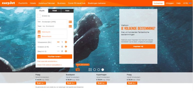 Voorbeeld website