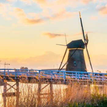 Conversie tot in perfectie: 4 nieuwe P’s voor marketing