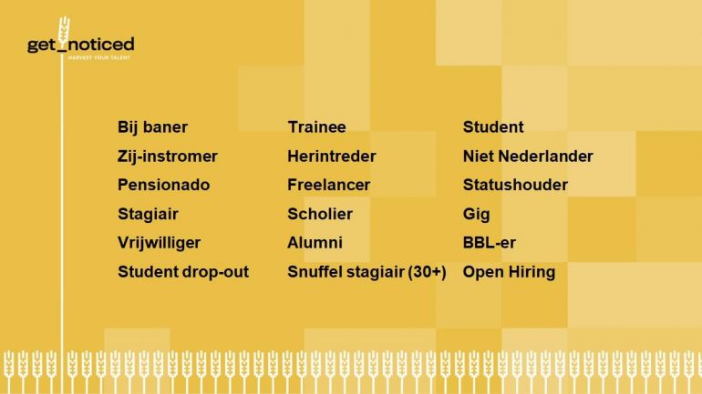 Vormen van arbeidscapaciteit, waaronder zij-instromers, trainees, pensionado's en studenten.