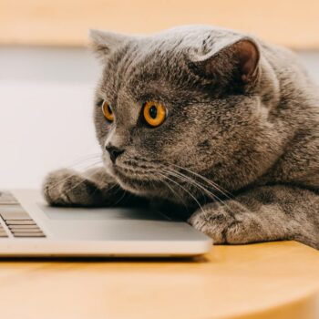 Iedere dag op LinkedIn posten? Dit levert het op