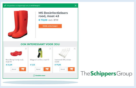 Voorbeeld The Schippers Group