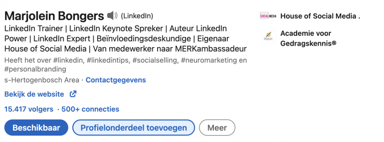Screenshot van de LinkedIn-samenvatting van Marjolein Bongers.
