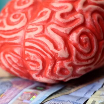 Hoe je een product maakt van je kennis (en er €2.900 per maand mee verdient)