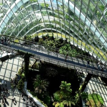 Normative en Exponential Roadmap Initiative introduceren Net Zero Score-framework