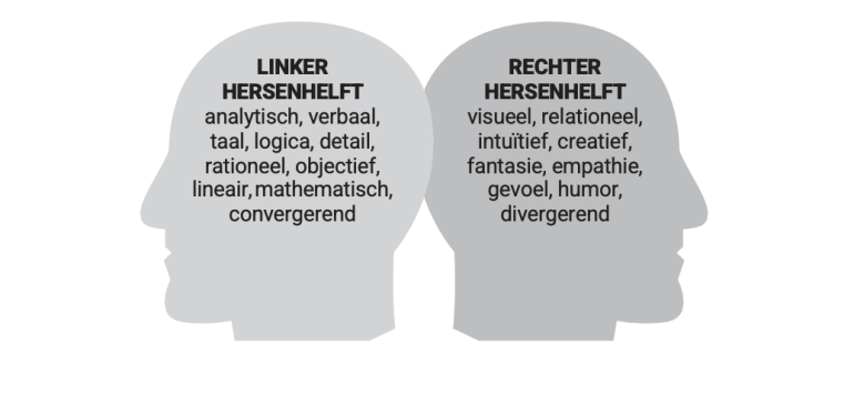 Illustratie van eigenschappen van de linker- en rechterhersenhelft