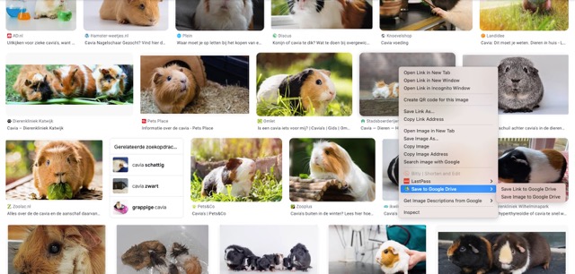 chrome extens search