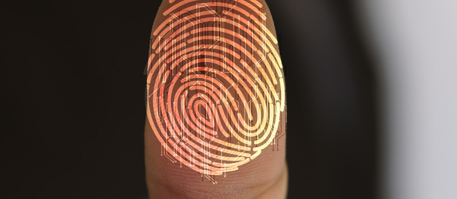 Een digitale identiteit: wat hebben we eraan & hoe ver zijn we?