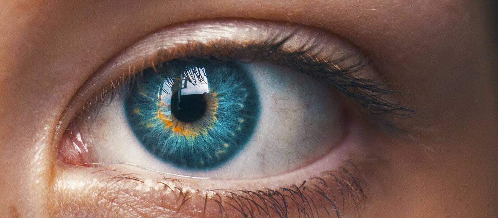 9 AI-tools die je leven een stuk makkelijker maken