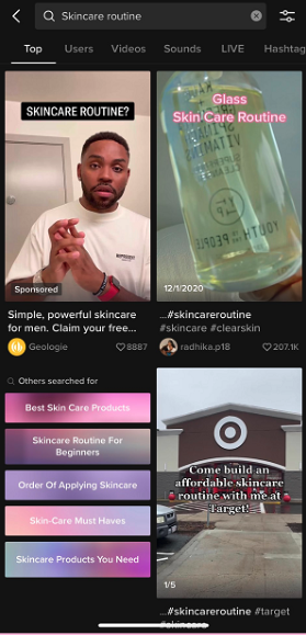 voorbeeld search ads tiktok