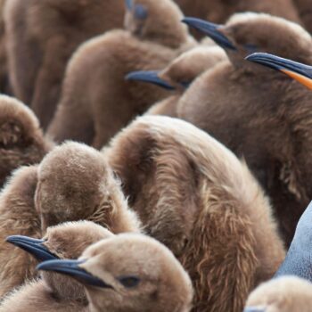 Je bent je eigen merk! 9 tips voor personal branding op LinkedIn