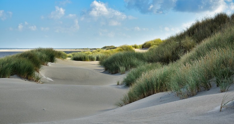 Duinen via Pixabay.
