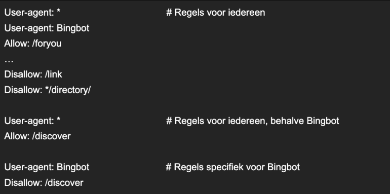 Hoe TikTok het robot.txt zou moeten opstellen.