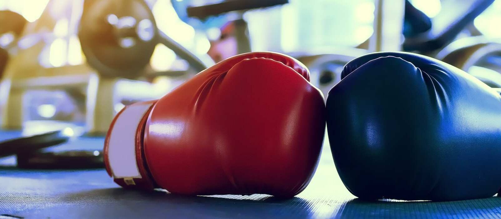 Social-update: Meta vs. X, Reels downloaden & het LinkedIn-algoritme
