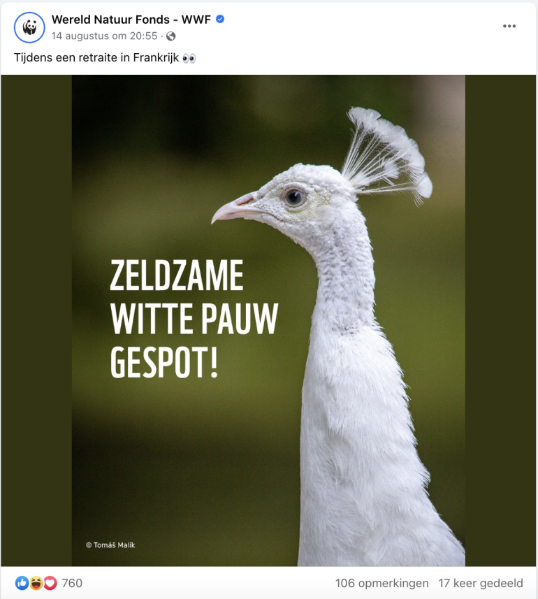 B&B vol liefde inhaker Wereld Natuur Fonds