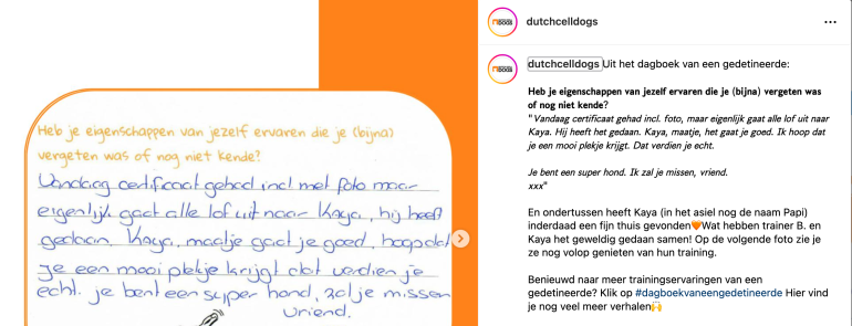 voorbeeld hashtag cta Dutch cell Dogs