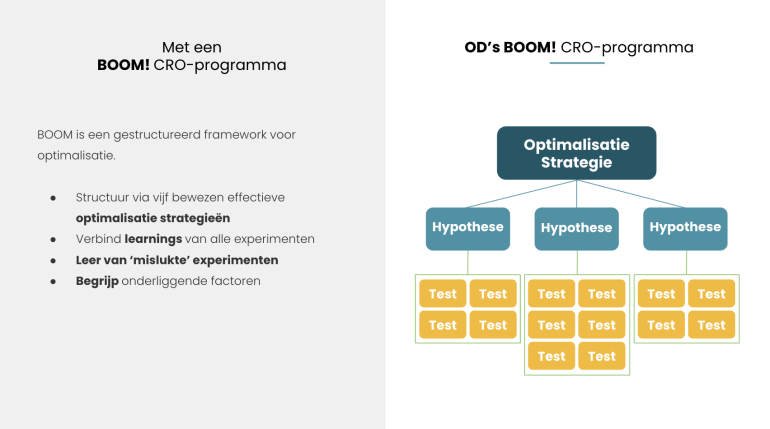 CRO-programma