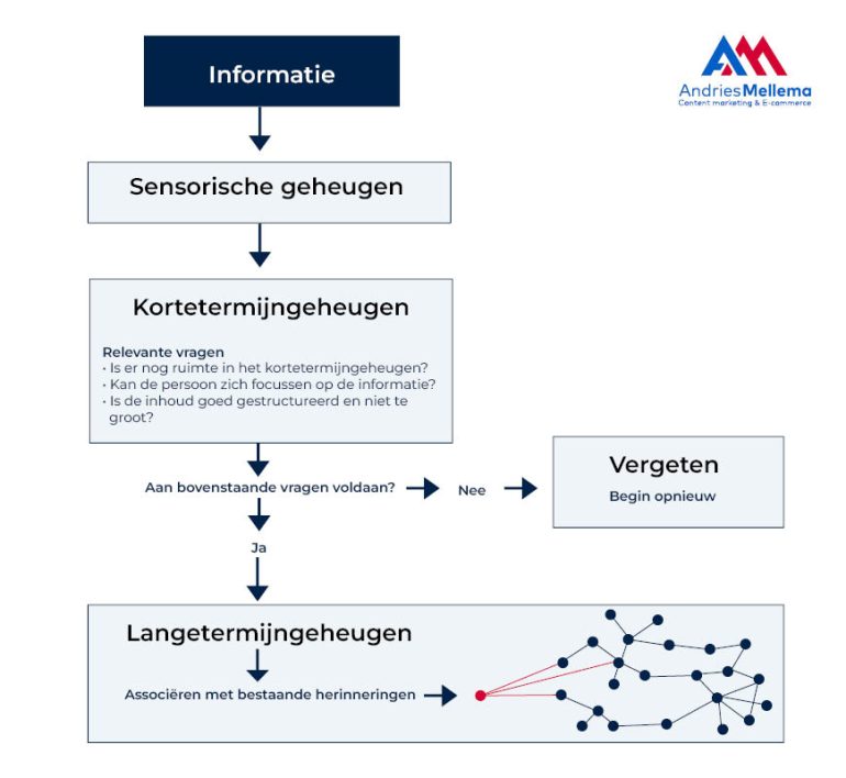 Een versimpelde weergave van hoe ons geheugen informatie opslaat.