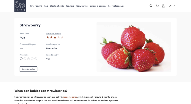 Screenshot website Solid Starts