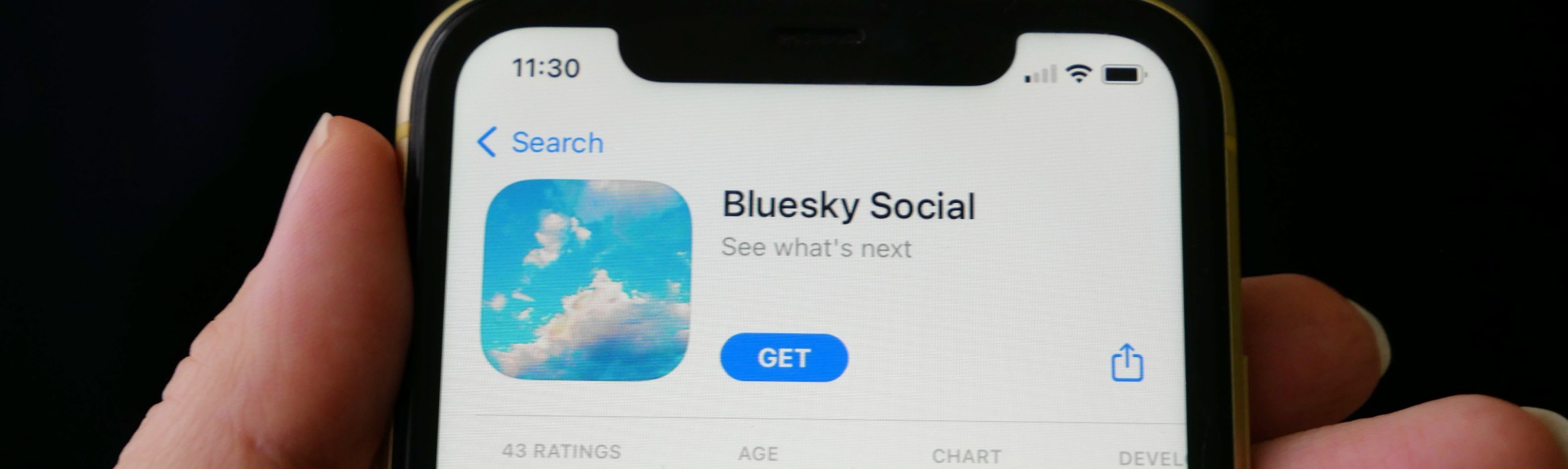 Bluesky als alternatief voor Twitter/X: wat is het & hoe werkt het? -  Frankwatching