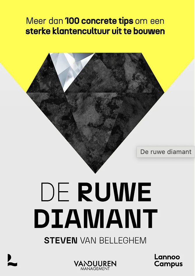 Boekcover de ruwe diamant.