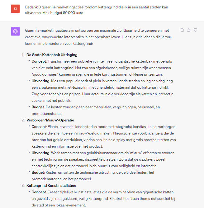 Voorbeeld prompt
