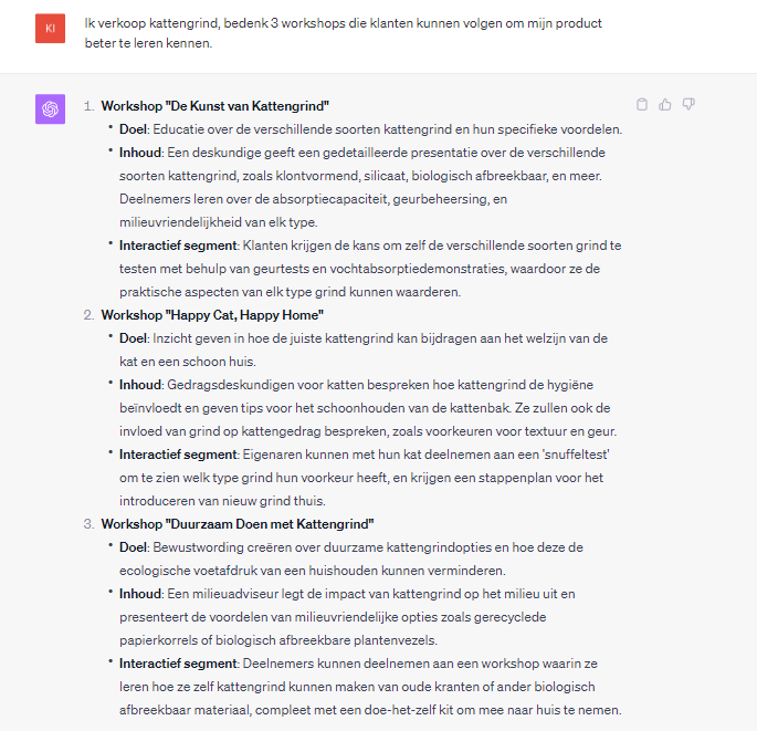 Voorbeeld prompt