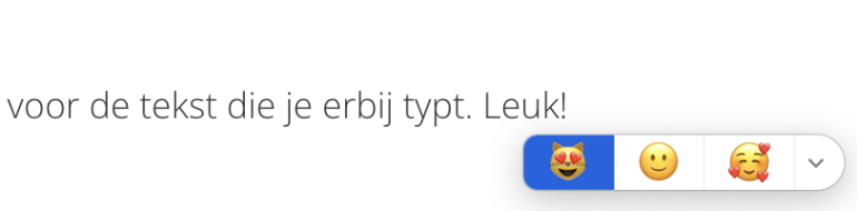 Screenshot van de emoji die verschijnen als je op de fn-toets drukt.