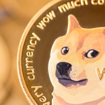 De zin en onzin van memecoins
