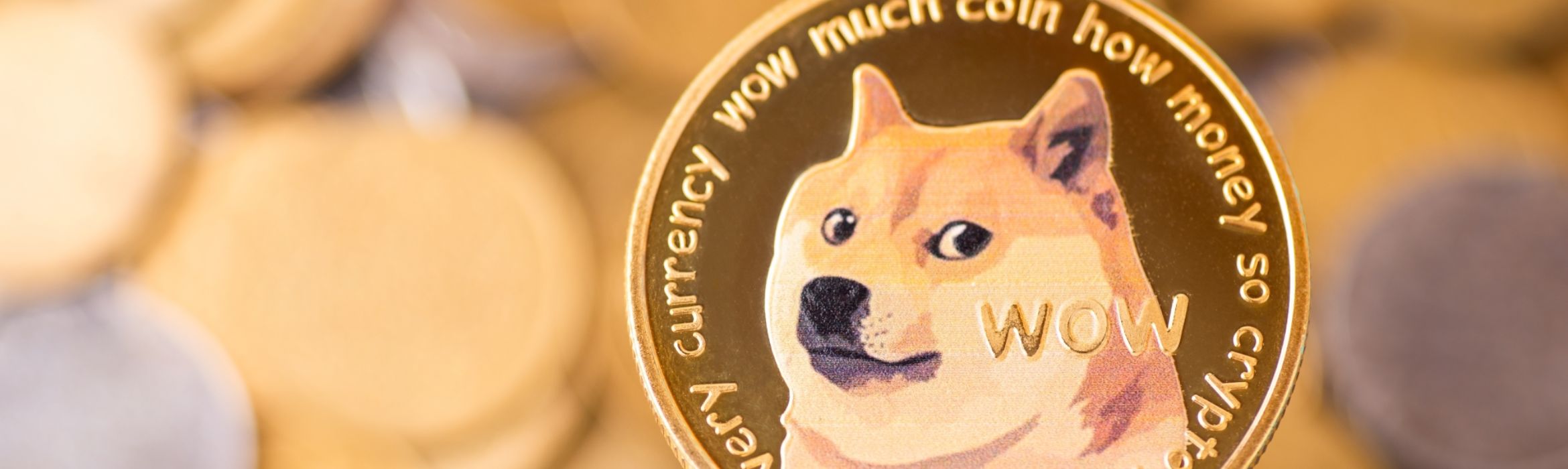 De zin en onzin van memecoins - Frankwatching