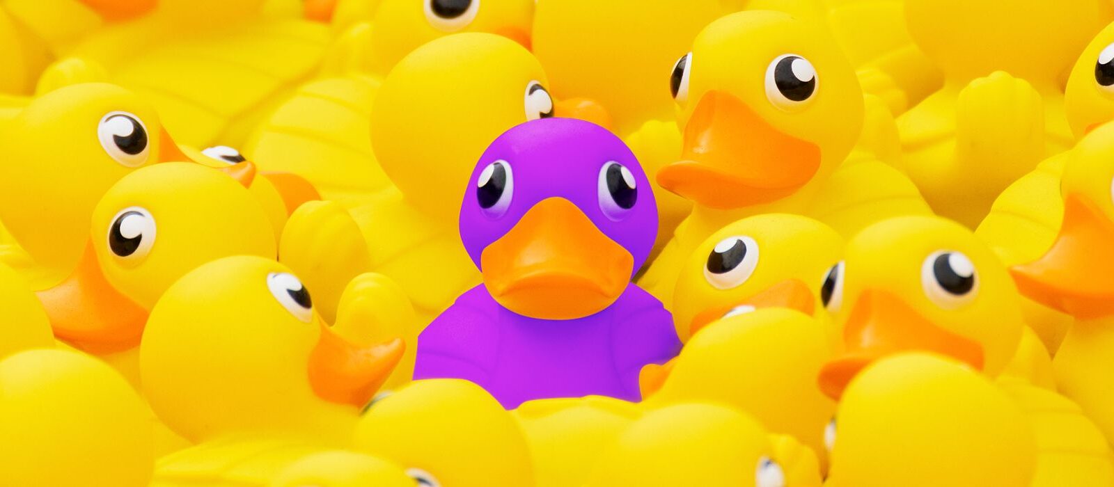 Succesvolle webshop? Spring eruit met een online persoonlijkheid!