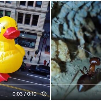 Wat kan de AI-tool Sora? 10 ‘mind-blowing’ video’s op een rij