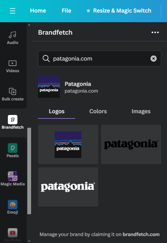 Canva Brandfetch