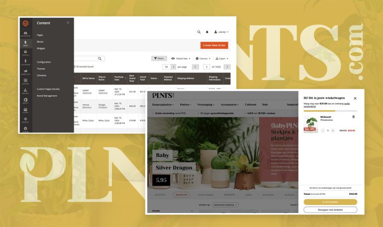 PNTS BEpic magento