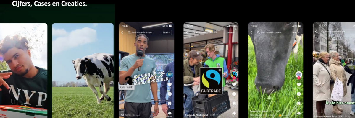 TikTok Toolkit: cijfers, cases en creaties