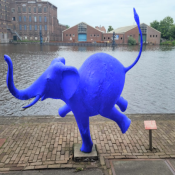 Koninklijke Jumbo kiest na pitch voor New Kith
