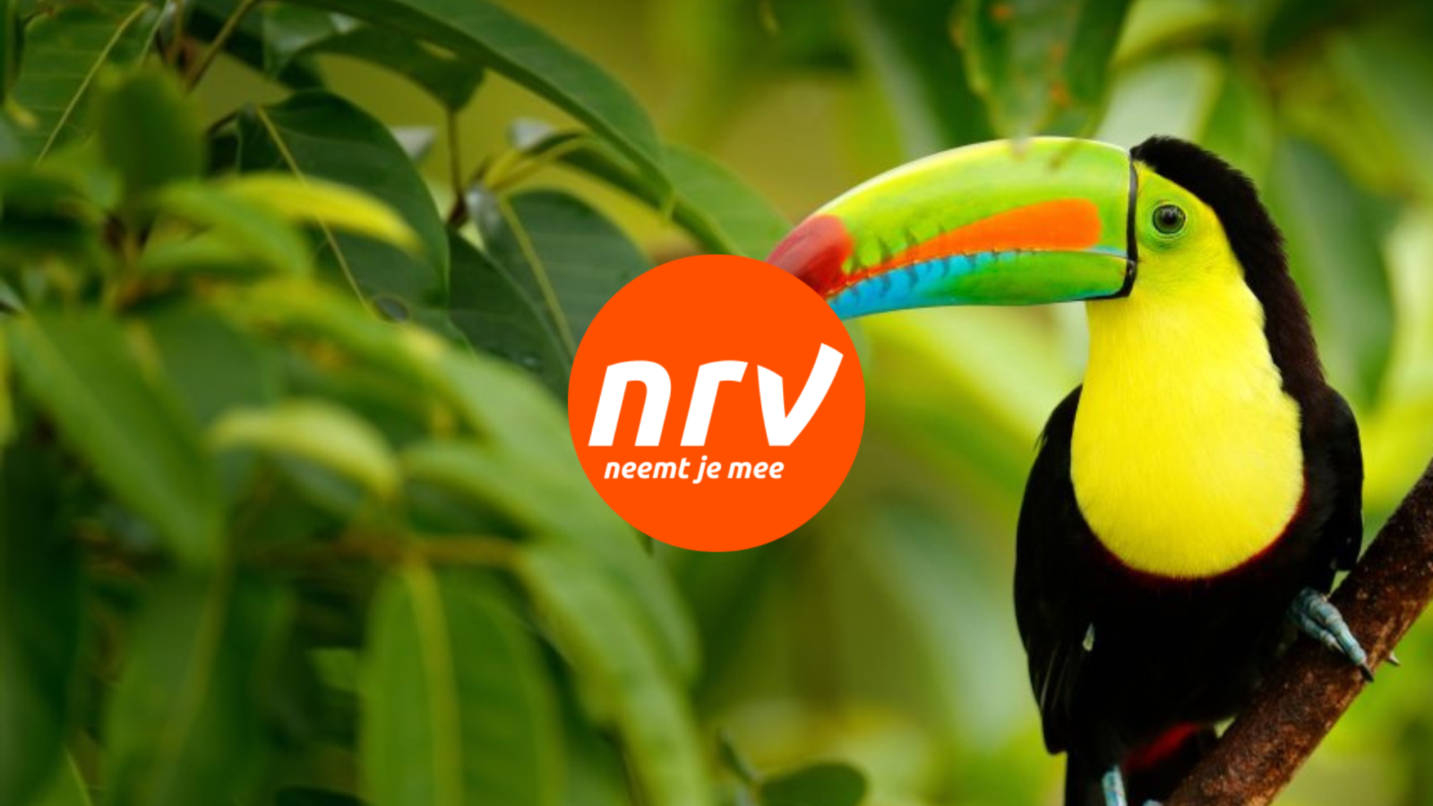 Zo verbeterde DPG Media de naamsbekendheid en merkoverweging van rondreisspecialist NRV [case]