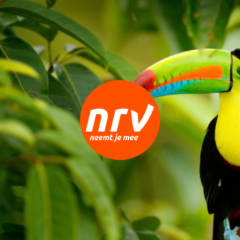 Zo verbeterde DPG Media de naamsbekendheid en merkoverweging van rondreisspecialist NRV [case]