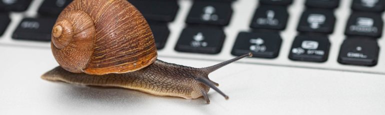 Slak op toetsenbord ter illustratie van Slow productivity