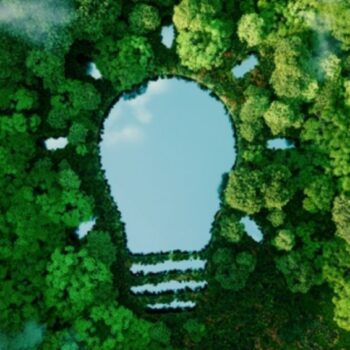 Wat Kruidvat, Decathlon & Praxis ons leren over duurzaamheidscommunicatie in de klantreis
