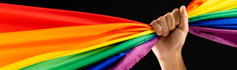 Regenboog vlag die wordt vastgepakt. Bron: vectorfusionart, Shutterstock