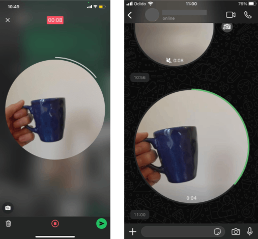 Voorbeeld WhatsApp videonotitie