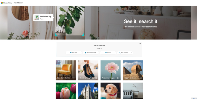 Bing Visual Search